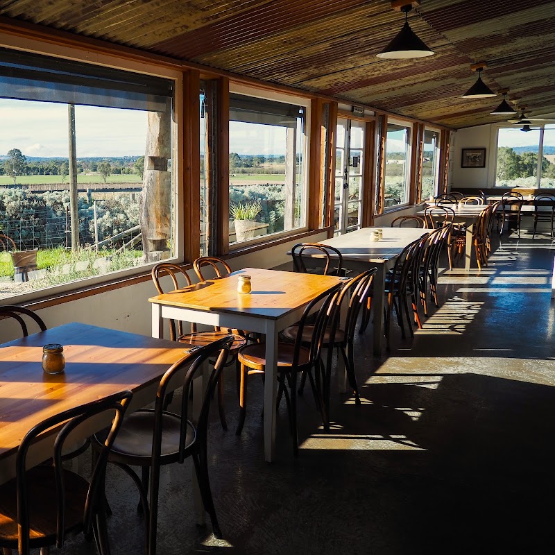 Yarra Valley Dairy - Yarra Valley Dairy, 70 Mcmeikans Rd, Yering VIC 3770, Australia
