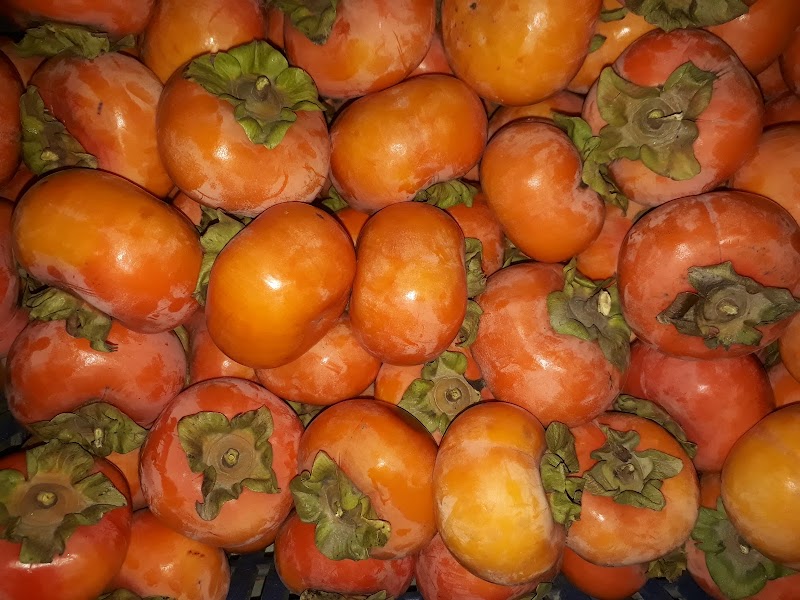 JAMWAL ORCHARDS - JAMWAL ORCHARDS, v.p.o seobagh tehsil and, Seobagh, Kais, Himachal Pradesh 175138, India