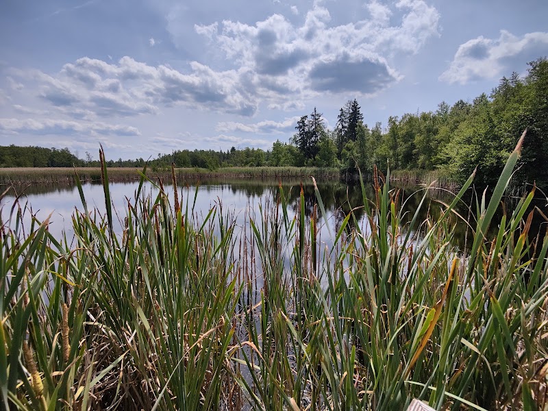 Parkoviště Soos - Parkoviště Soos, 351 Skalná, Czechia