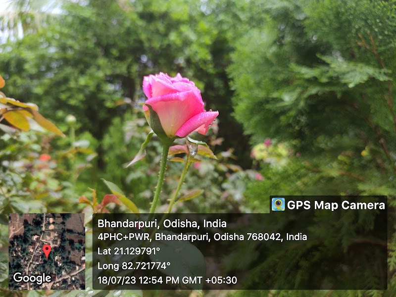 Go Green Garden - Go Green Garden, 4PHC+VQM, Bhandarpuri, Odisha 768042, India