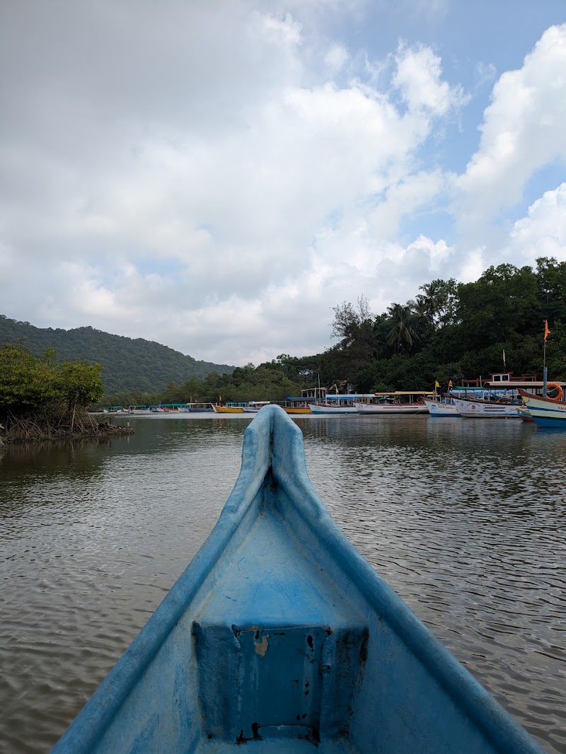 PALOLEM BEACH MANGROVE FOREST - PALOLEM BEACH MANGROVE FOREST, 2289+82, Canacona, Goa, India