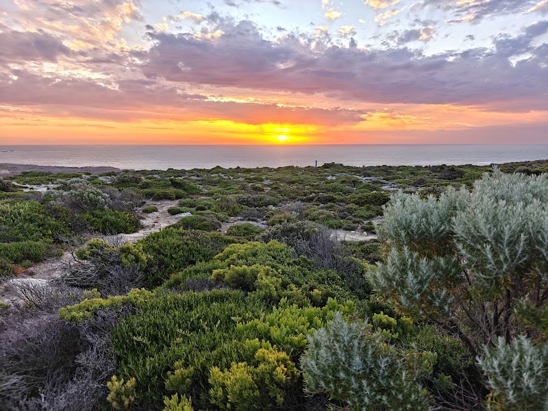 Flinders Chase National Park - Flinders Chase National Park, S Coast Road, Flinders Chase SA 5223, Australia