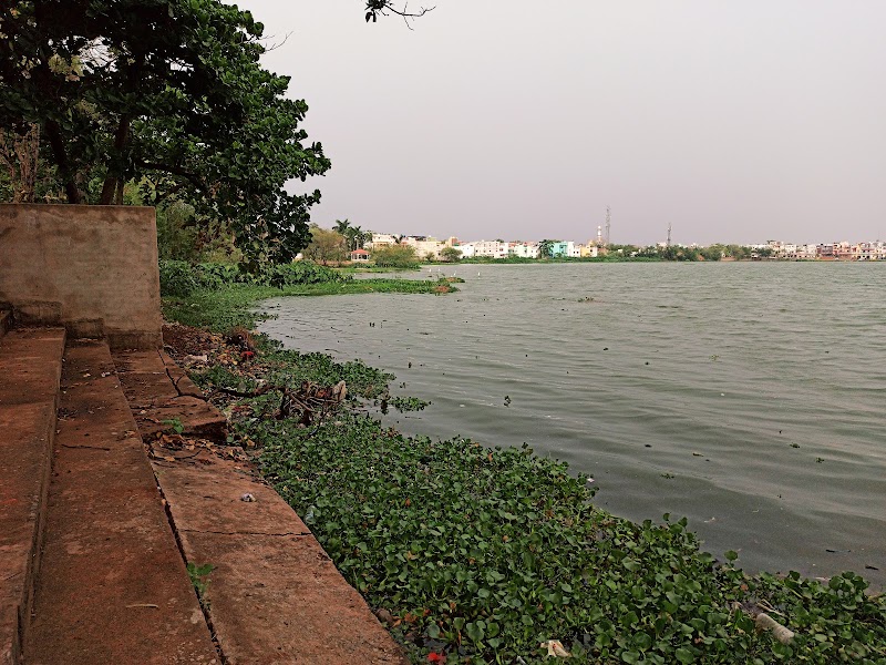 Umang Colony - Umang Colony Umang Colony, Chhattisgarh 492001, India