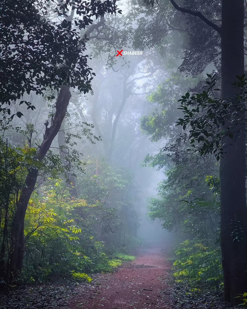 Janani Niwas | Matheran Hotels | Jungle & Valley View Hotels & Resorts | Homestay | - Janani Niwas | Matheran Hotels | Jungle & Valley View Hotels & Resorts | Homestay |, Indhira Gandhi Nagar, MG Rd, near Ganesh Temple, Aman Lodge, Matheran, Maharashtra 410102, India