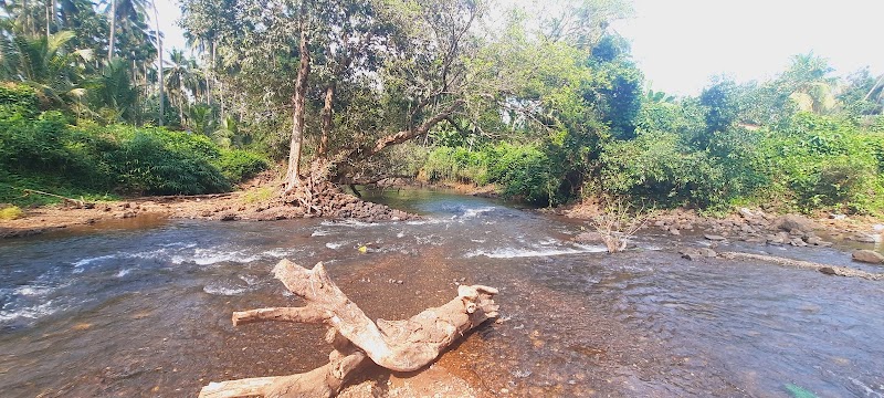 Rivona Small Dam - Rivona Small Dam 5439+J7H, Rivona, Kolamba, Goa 403705, India