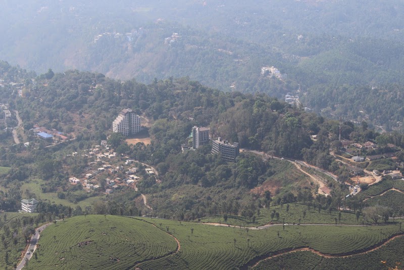 Tea estate view point - Tea estate view point 5/135, Pothamedu, Munnar, Kerala 685612, India