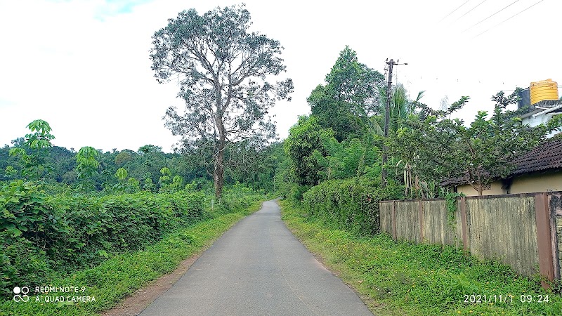 Srinivasa Home Stay - Srinivasa Home Stay, 2/28-1, via, Anthara Bailu, Kalmanja, Karnataka 574240, India