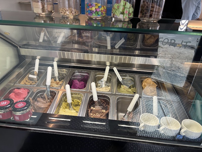 Mini Moo - Italian Artisanal Gelato Ice Cream - Mini Moo - Italian Artisanal Gelato Ice Cream 7, 7th B Rd, Sardarpura, Jodhpur, Rajasthan 342001, India
