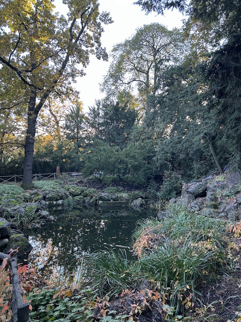 Rybníček - Rybníček Perucká 2567/25, Vinohrady, 120 00 Praha-Praha 2, Czechia