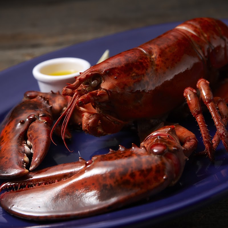 Red Lobster Universal Citywalk Osaka - Red Lobster Universal Citywalk Osaka Japan, 〒554-0024 Osaka, Konohana Ward, Shimaya, 6-chōme−2−６１ ユニバーサル・シティウォーク大阪5F