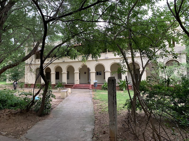 Adyar Banyan Tree - Adyar Banyan Tree, 2769+487, Schwarz Ave, Theosophical Society, Besant Nagar, Chennai, Tamil Nadu 600020, India