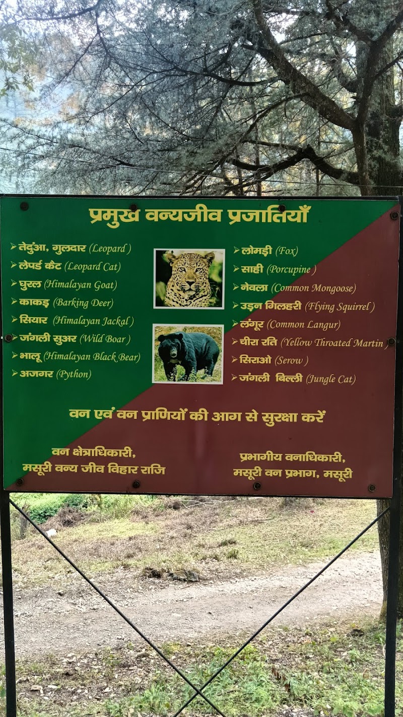 Benog Wildlife Sanctuary - Benog Wildlife Sanctuary Charleville, Mussorie Range, Uttarakhand 248179, India