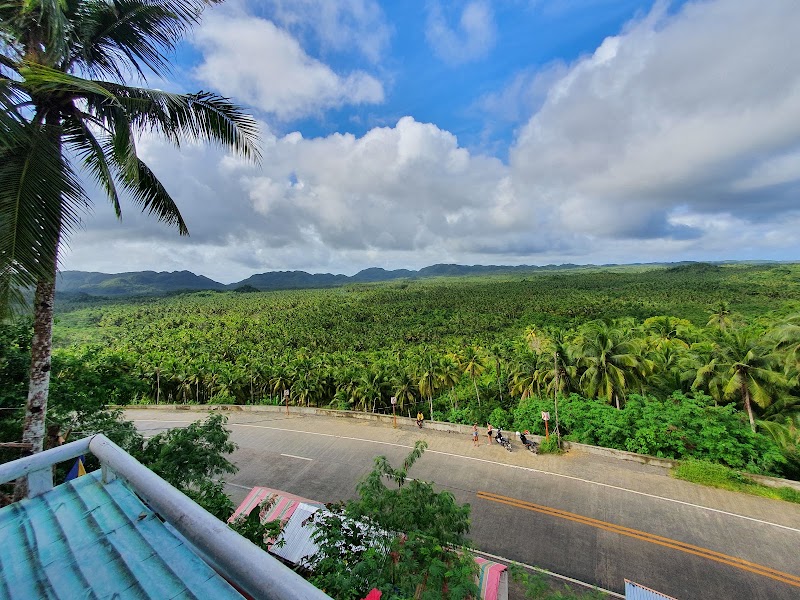 Coconut Plantation View Point - Coconut Plantation View Point, R365+WRH, Siargao Circumferential Rd, Pilar, Surigao del Norte, Philippines