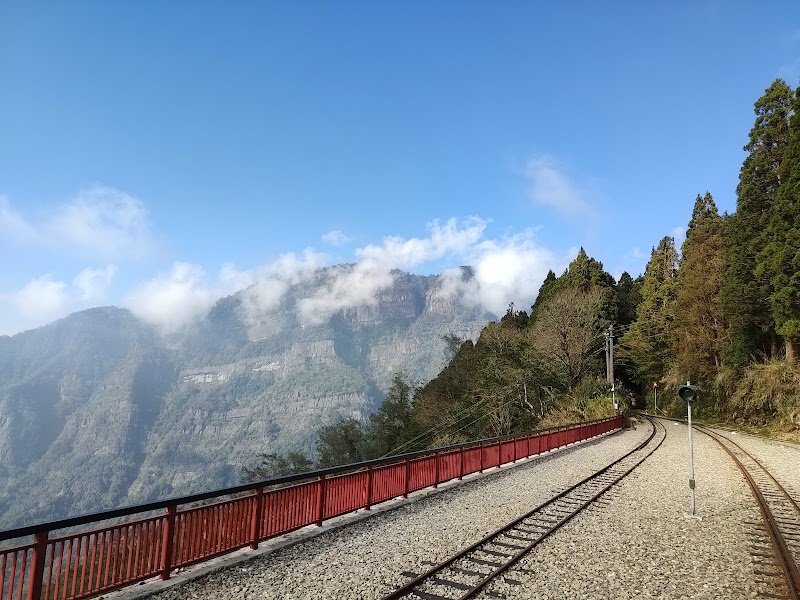 Alishan Youth Activity Center - Alishan Youth Activity Center 60541, Taiwan, Chiayi County, Alishan Township, Xianglin Village, 106號
