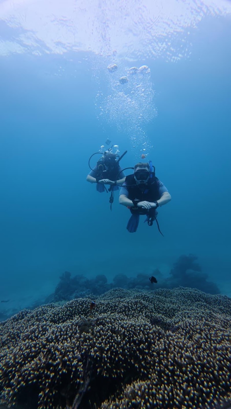 Palaka Siargao Dive Center - Palaka Siargao Dive Center Barangay 1, Purok 1, Near Market Side, General Luna, 8419 Surigao del Norte, Philippines