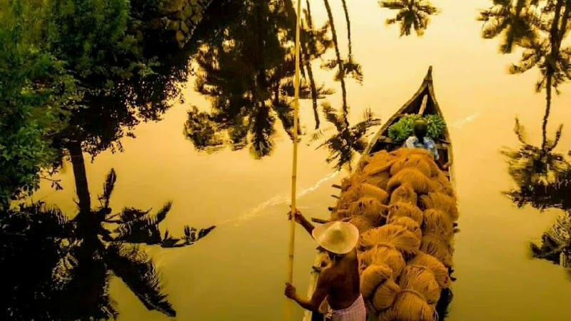Munnar wings travels & tours